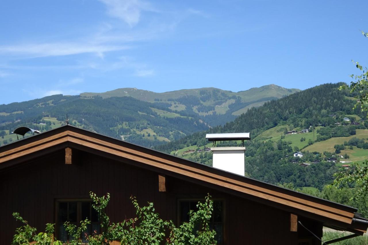 Am Schilf Xl Apartment Zell am See